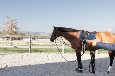 Kentucky Horsewear Longeerlijn 8M kopen? - verkrijgbaar Kentucky Horsewear Longeerlijn 8M kopen? - verkrijgbaar