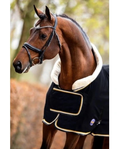 Koop nu de luxe HB Showdeken | Comfort & stijl voor jouw paard Koop nu de luxe HB Showdeken | Comfort & stijl voor jouw paard