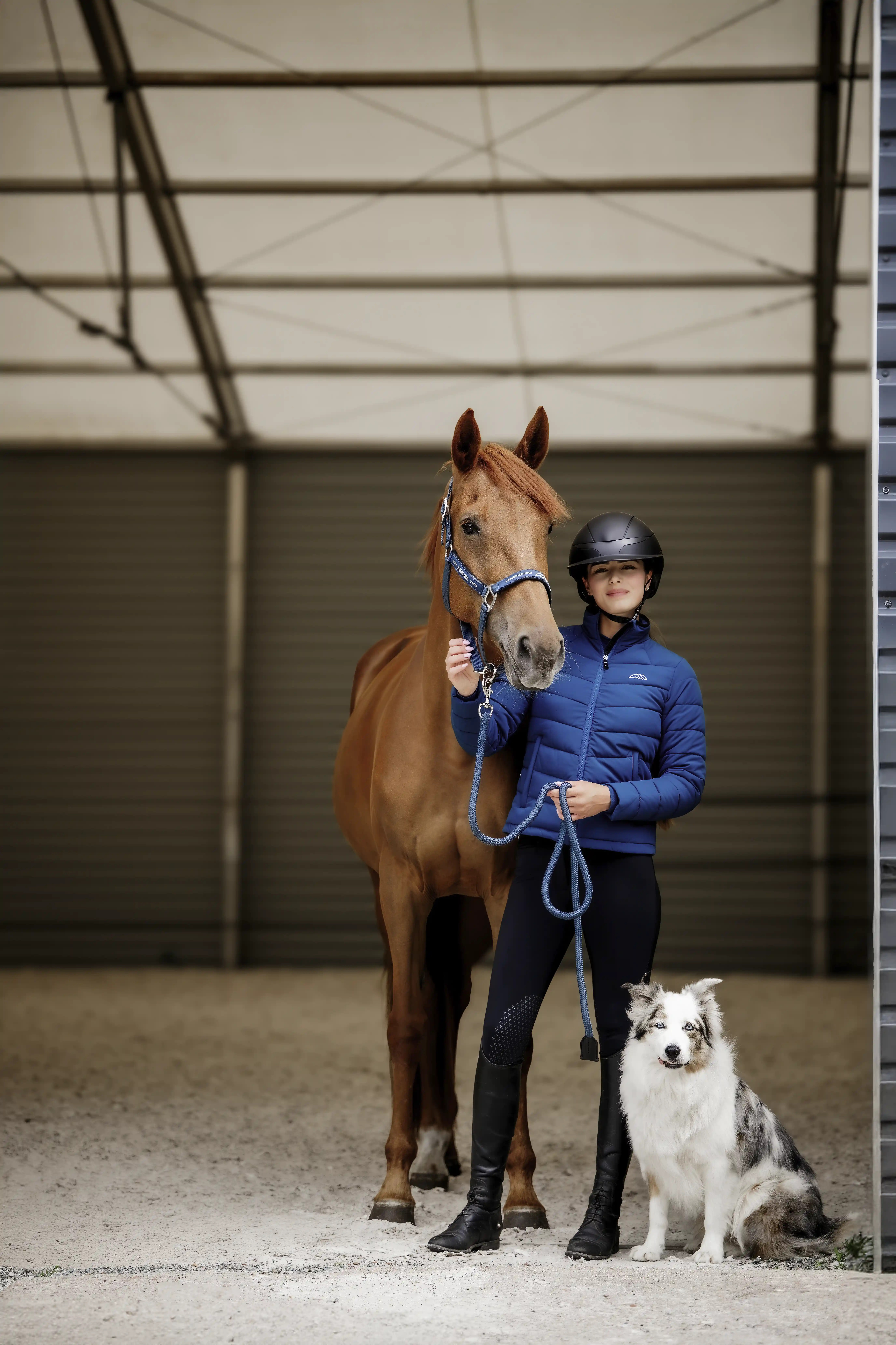Order the Equiline Ertys Bomber Jacket Legion Blue – Stylish & Warm Order the Equiline Ertys Bomber Jacket Legion Blue – Stylish & Warm