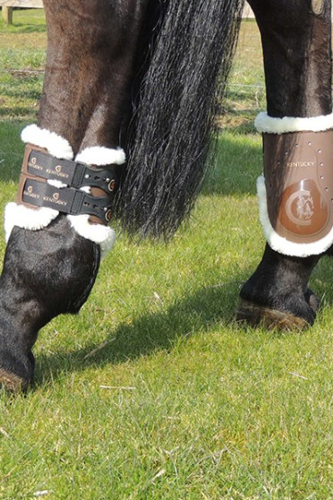 Kentucky Kogelbeschermers Bont Elastiek Kentucky Kogelbeschermers Bont Elastiek
