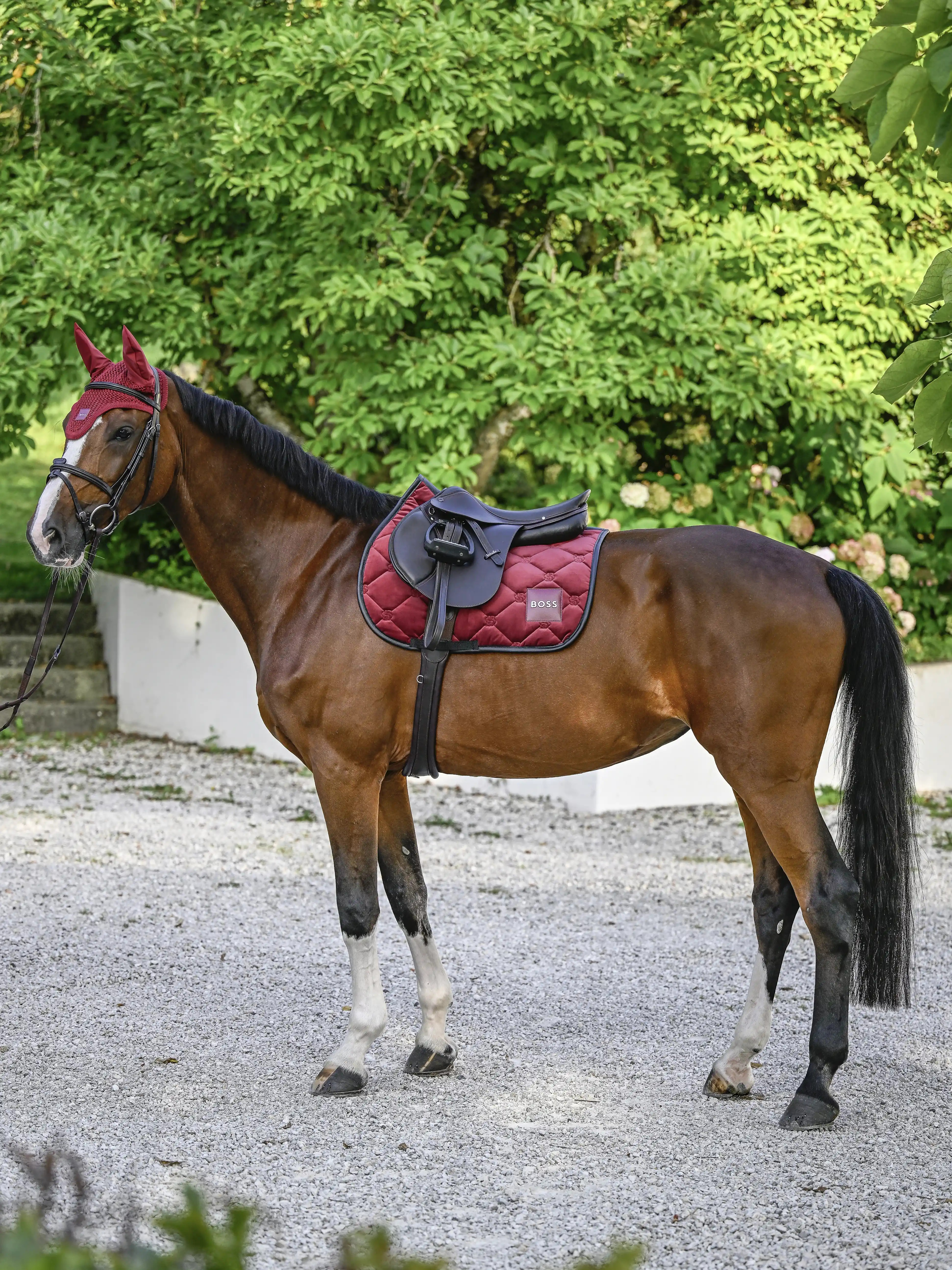 BOSS Equestrian Jump Velvet Saddle Pad Cabernet | Ride in Style BOSS Equestrian Jump Velvet Saddle Pad Cabernet | Ride in Style