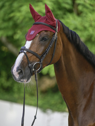BOSS Equestrian Earnet | Cabernet BOSS Equestrian Earnet | Cabernet