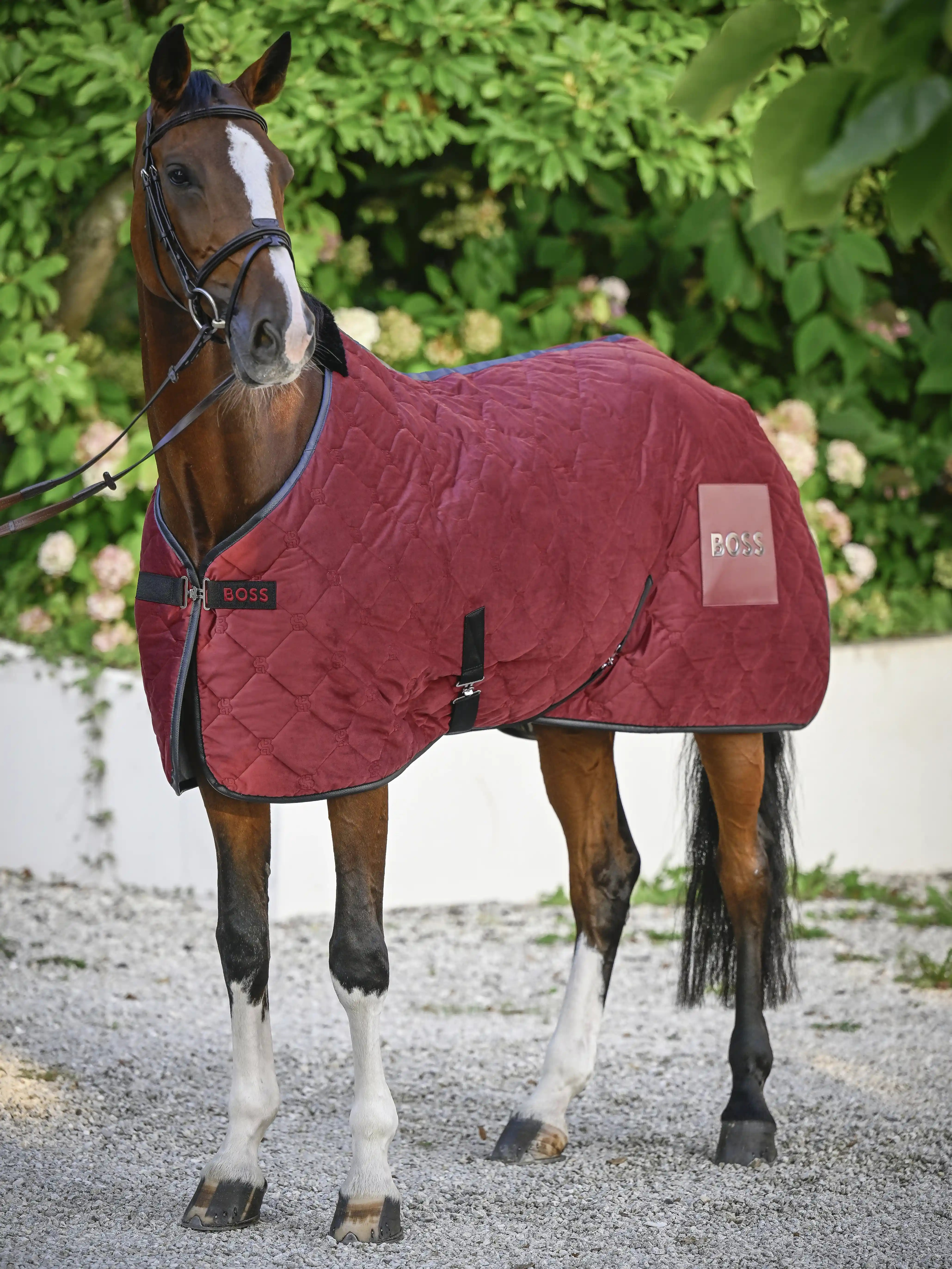 BOSS Equestrian Show Blanket Velvet | Cabernet BOSS Equestrian Show Blanket Velvet | Cabernet