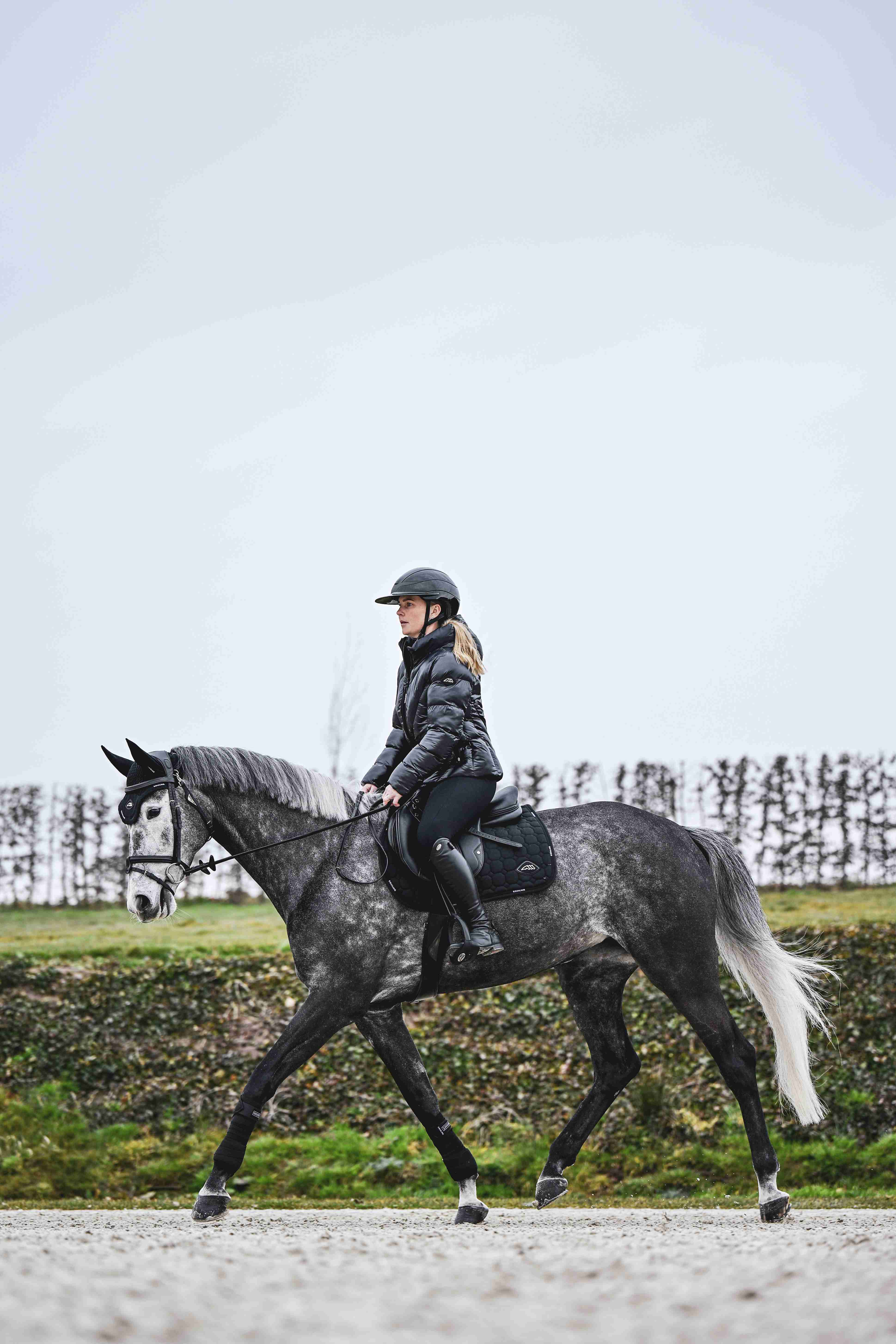 Shop the Equiline Winter Collection EW125 – Warm and Luxurious Equestrian Apparel Shop the Equiline Winter Collection EW125 – Warm and Luxurious Equestrian Apparel