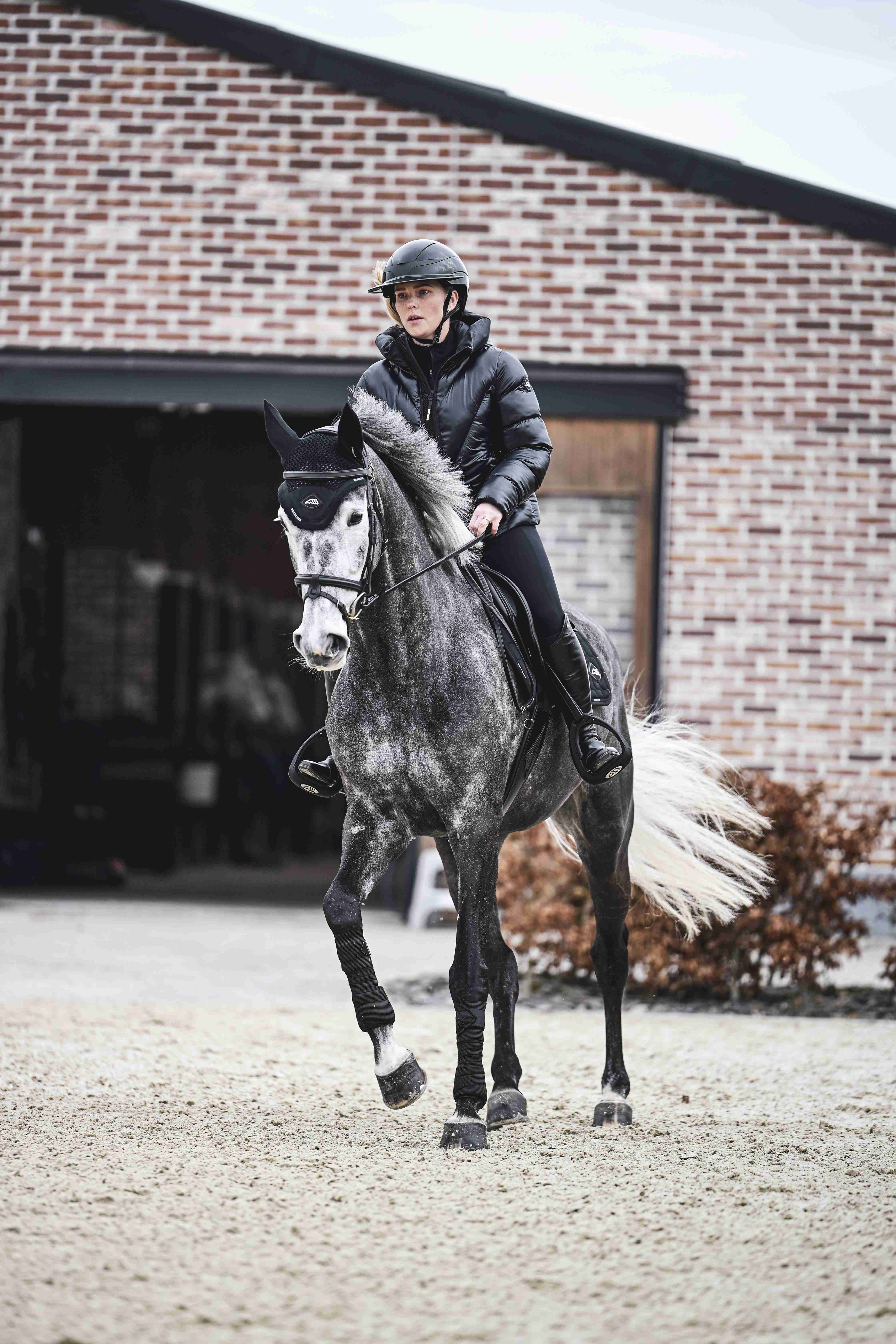 Shop de Equiline Wintercollectie EW125 – Warme en Luxe Ruiterkleding voor de Winter Shop de Equiline Wintercollectie EW125 – Warme en Luxe Ruiterkleding voor de Winter