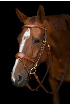 Utzon Equestrian Belmond Hoofdstel | Hazelnoot