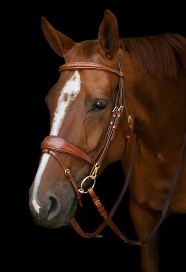 Utzon Equestrian Belmond Hoofdstel | Hazelnoot Utzon Equestrian Belmond Hoofdstel | Hazelnoot