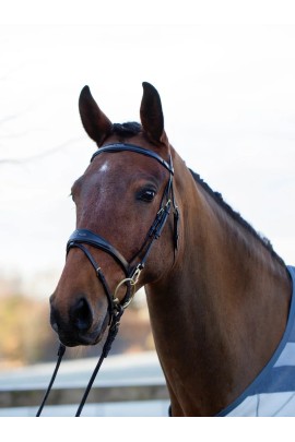 Utzon Equestrian Belmond Hoofdstel | Zwart