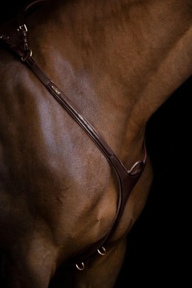 Utzon Equestrian Belmond Borsttuig | Espresso