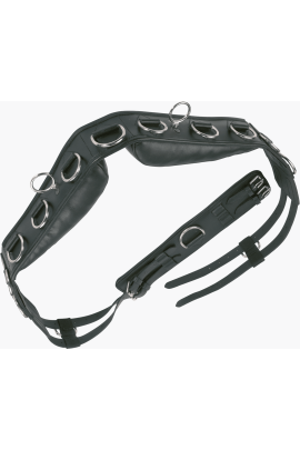 Lunging Girth Professional Leather | Busse - available