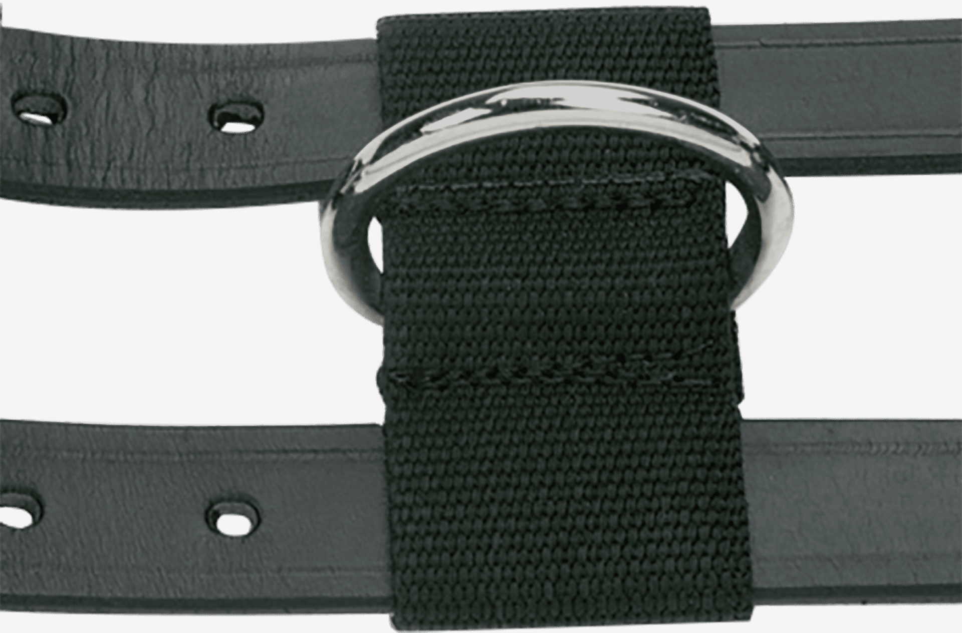 Lunging Girth Professional Leather | Busse - available Lunging Girth Professional Leather | Busse - available