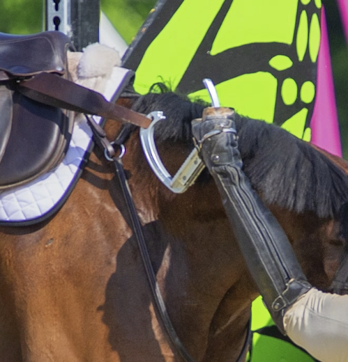 Tech Stirrups Venice EVO Plus Veiligheidsstijgbeugels | Veilig & stijlvol Tech Stirrups Venice EVO Plus Veiligheidsstijgbeugels | Veilig & stijlvol