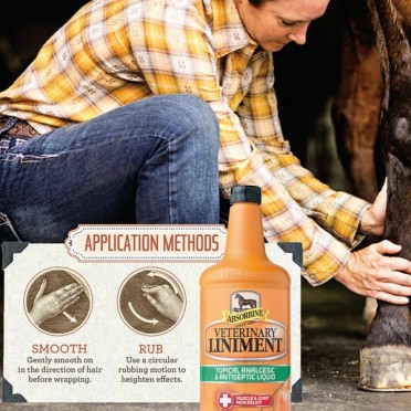 Absorbine® Veterinary Liniment 16 oz | Muscle & Joint Care Absorbine® Veterinary Liniment 16 oz | Muscle & Joint Care