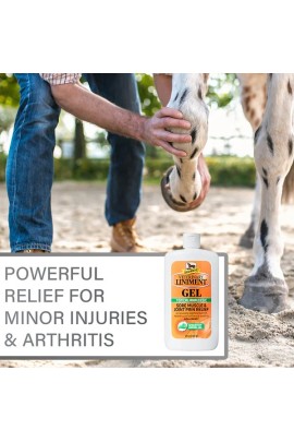 Absorbine® Liniment Gel 340g | Spier- & Gewrichtsverzorging | Ridershouse Absorbine® Liniment Gel 340g | Spier- & Gewrichtsverzorging | Ridershouse