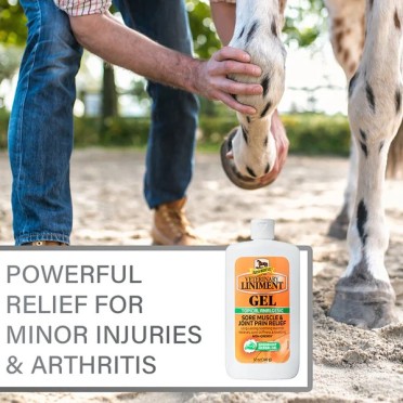 Absorbine® Liniment Gel 340g | Spier- & Gewrichtsverzorging | Ridershouse Absorbine® Liniment Gel 340g | Spier- & Gewrichtsverzorging | Ridershouse