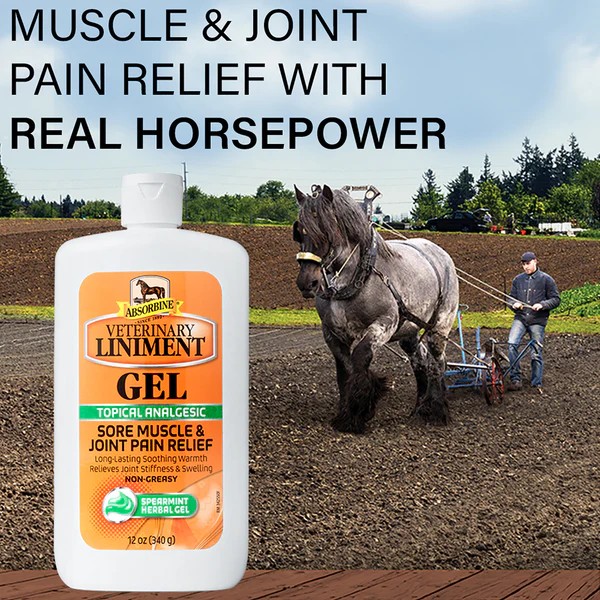 Absorbine® Liniment Gel 340g | Spier- & Gewrichtsverzorging | Ridershouse Absorbine® Liniment Gel 340g | Spier- & Gewrichtsverzorging | Ridershouse