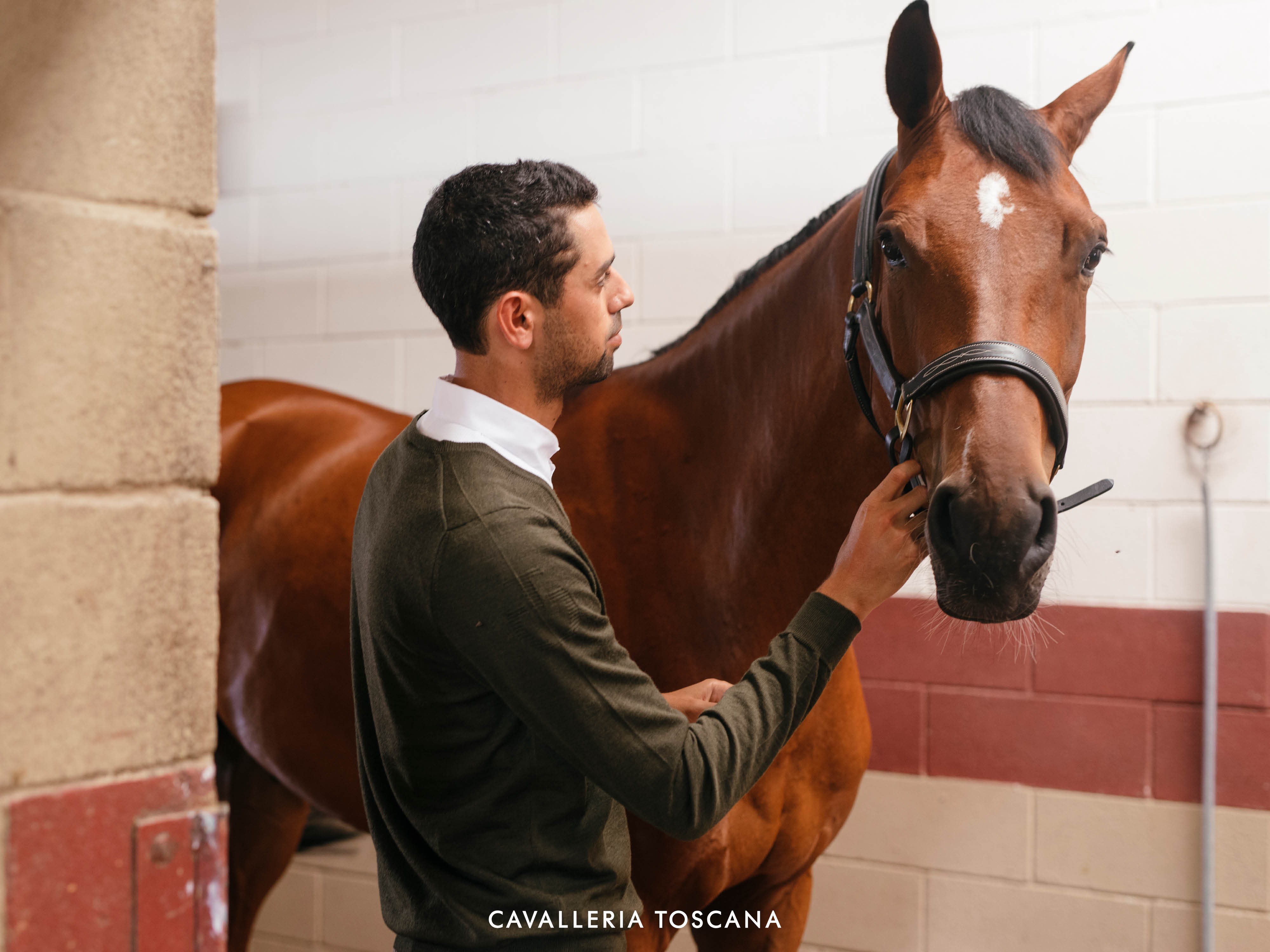 Cavallera Toscana Jaquard CT V-neck Sweater Cavallera Toscana Jaquard CT V-neck Sweater