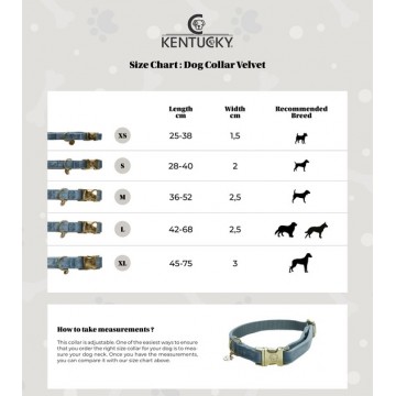 Kentucky Honden Halsband Velvet