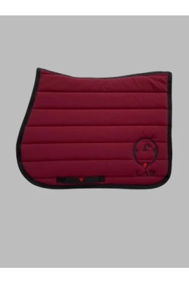 Vestrum Set LAB Pegasus Saddle Pad & Gacrux Earnet Jumping Ruby Red | Shop Now Vestrum Set LAB Pegasus Saddle Pad & Gacrux Earnet Jumping Ruby Red | Shop Now