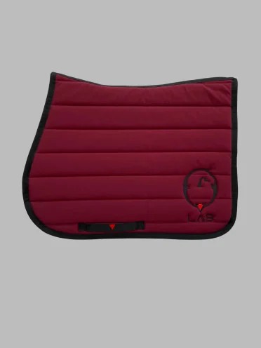 Vestrum Set LAB Pegasus Saddle Pad & Gacrux Earnet Jumping Ruby Red | Shop Now Vestrum Set LAB Pegasus Saddle Pad & Gacrux Earnet Jumping Ruby Red | Shop Now
