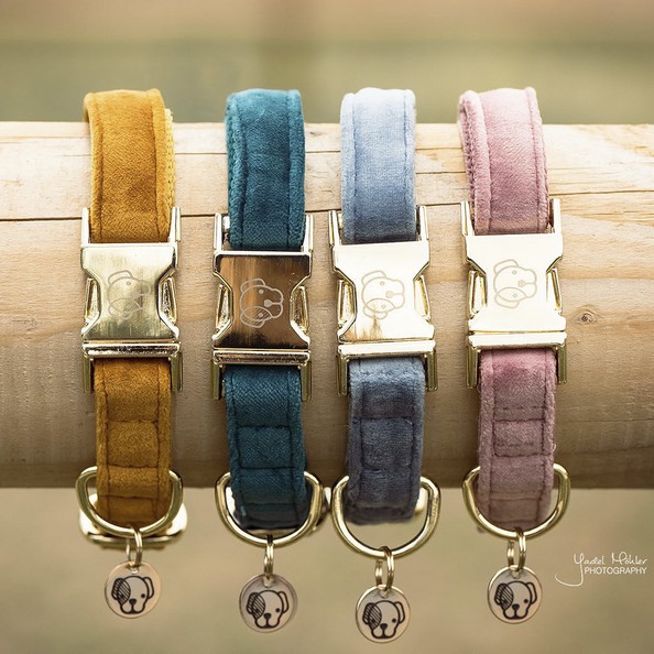 Kentucky Honden Halsband Velvet Kentucky Honden Halsband Velvet
