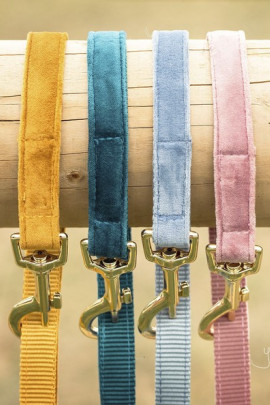 Kentucky Dog Lead Velvet