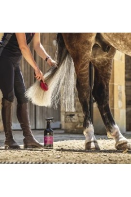 Carr & Day & Martin Canter Mane & Tail Conditioner | Bestel Nu Carr & Day & Martin Canter Mane & Tail Conditioner | Bestel Nu