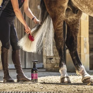 Carr & Day & Martin Canter Mane & Tail Conditioner | Bestel Nu Carr & Day & Martin Canter Mane & Tail Conditioner | Bestel Nu