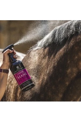 Carr & Day & Martin Canter Mane & Tail Conditioner | Bestel Nu Carr & Day & Martin Canter Mane & Tail Conditioner | Bestel Nu