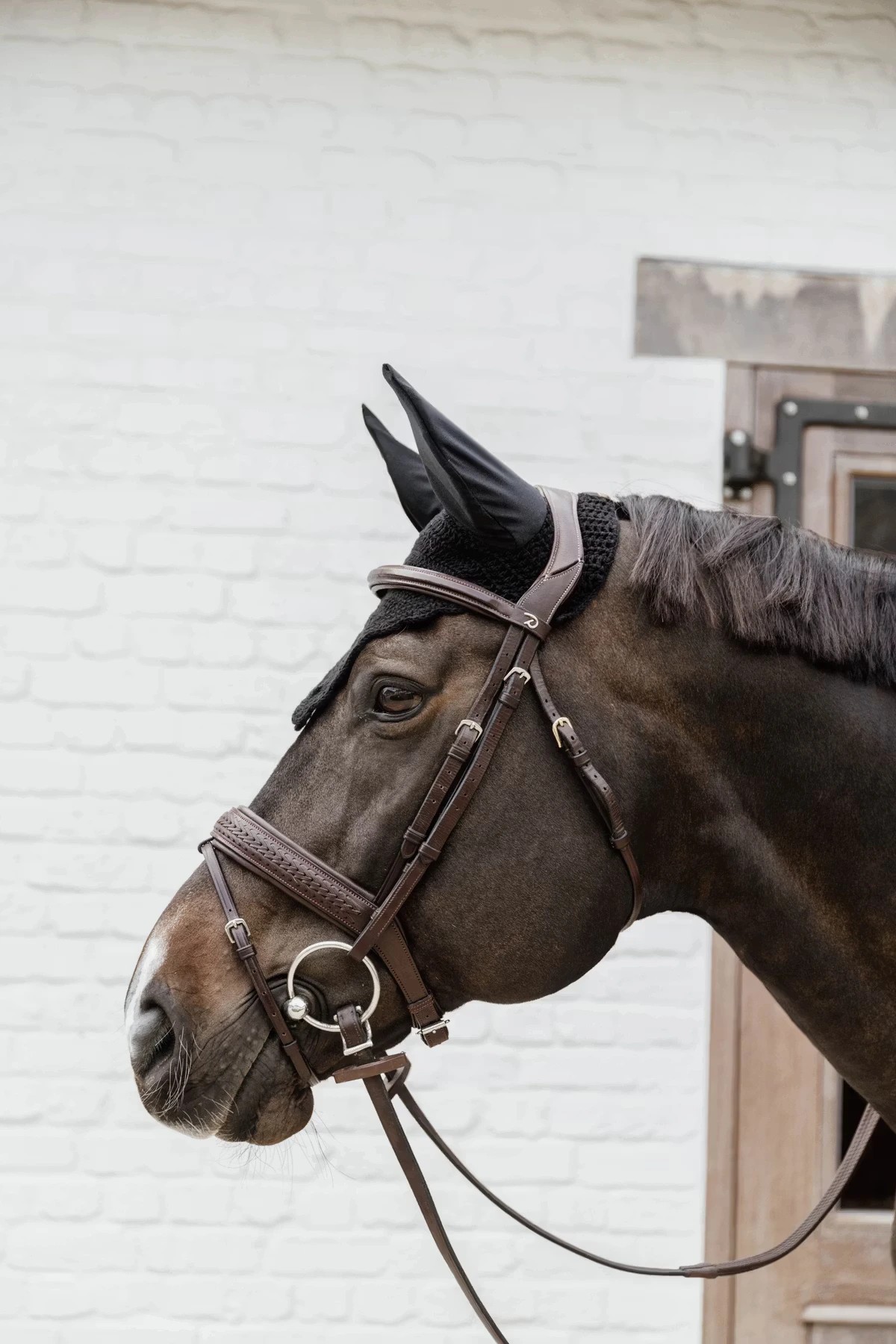 Kentucky Oornetje Wellington Wave Zwart Full | Bestel Nu Kentucky Oornetje Wellington Wave Zwart Full | Bestel Nu