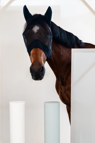 Cavalleria Toscana Fly Mask | Black Cavalleria Toscana Fly Mask | Black