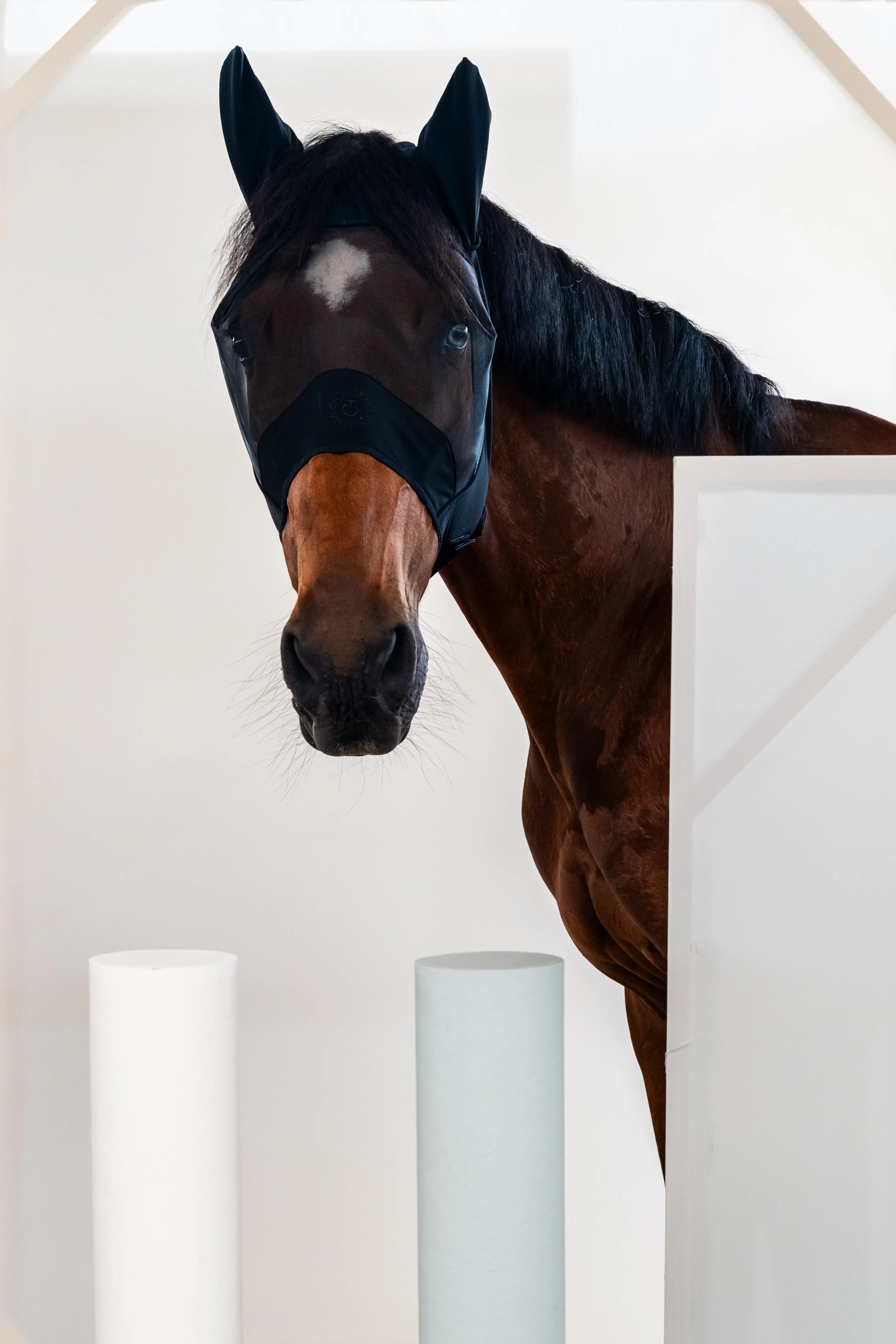 Cavalleria Toscana Fly Mask | Black Cavalleria Toscana Fly Mask | Black
