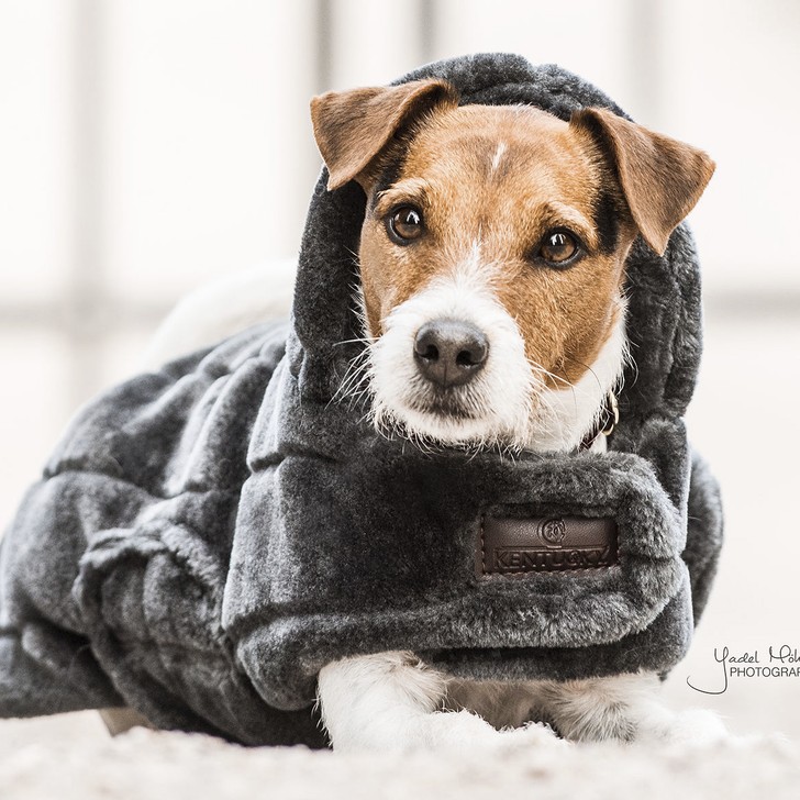 Kentucky Hondendekentje Fake Fur Kentucky Hondendekentje Fake Fur