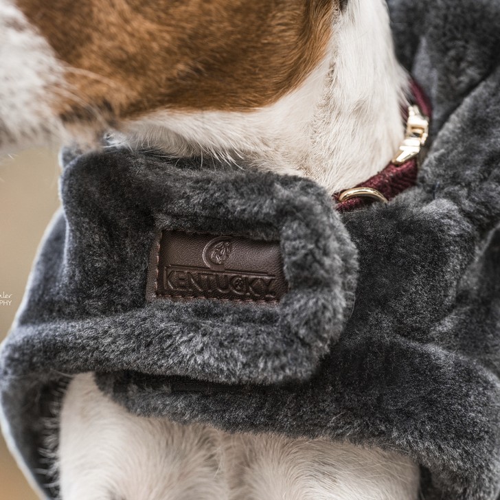 Kentucky Hondendekentje Fake Fur Kentucky Hondendekentje Fake Fur
