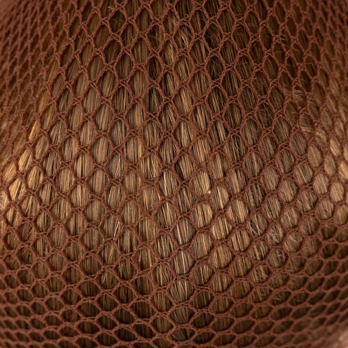 Kentucky Hair Nets Set of 2 Dark Brown – Discreet & Comfortable for Riders Shop Now Kentucky Hair Nets Set of 2 Dark Brown – Discreet & Comfortable for Riders Shop Now