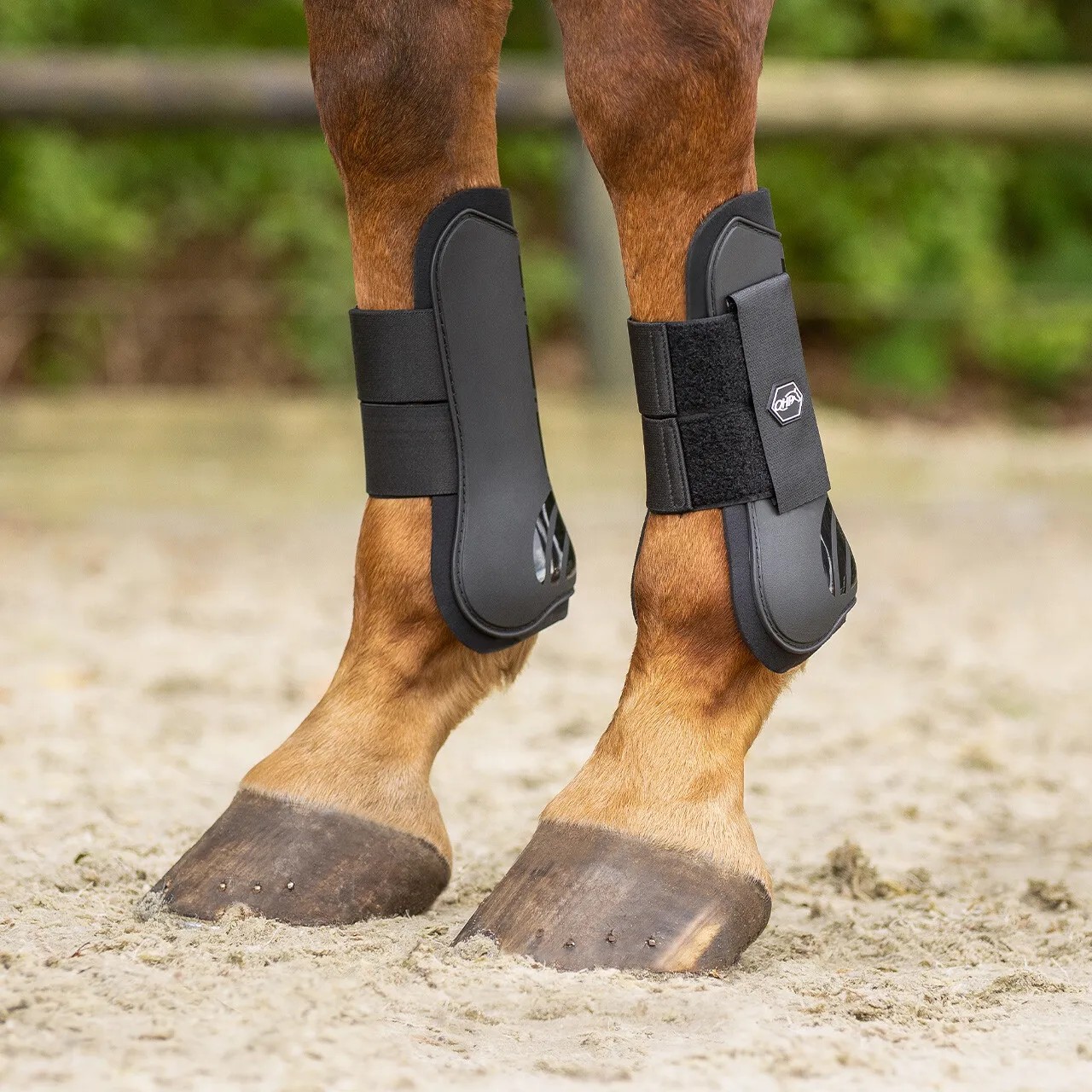 QHP Peesbeschermers Zwart | Bescherming & Comfort | Bestel Nu QHP Peesbeschermers Zwart | Bescherming & Comfort | Bestel Nu
