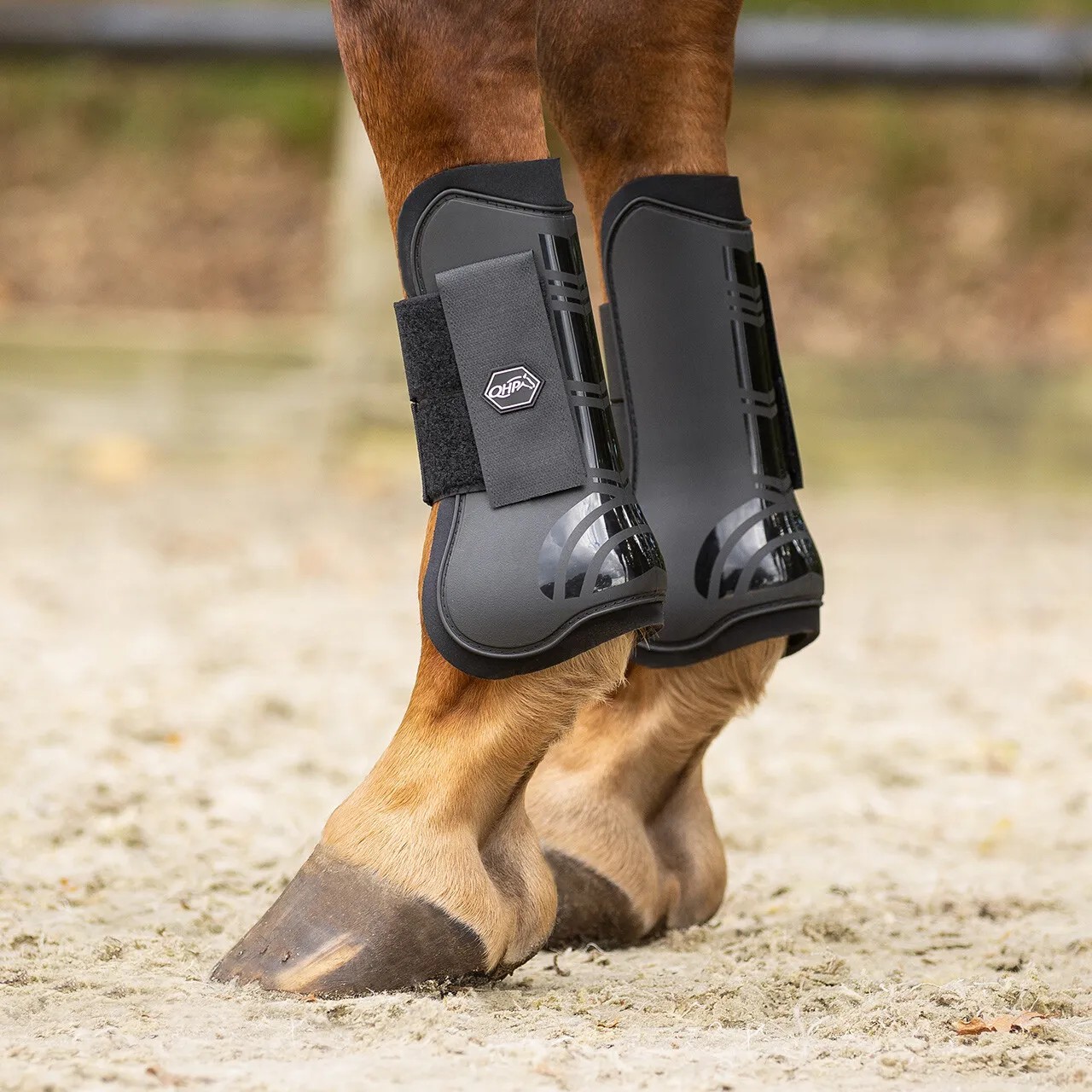 QHP Tendon Boots | Black QHP Tendon Boots | Black