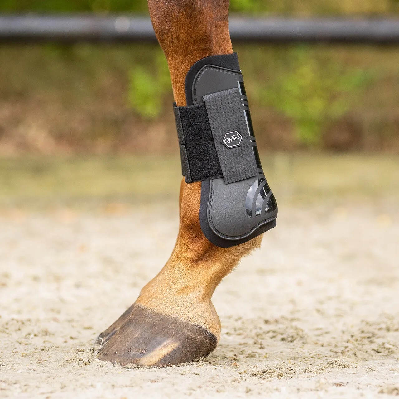QHP Peesbeschermers Zwart | Bescherming & Comfort | Bestel Nu QHP Peesbeschermers Zwart | Bescherming & Comfort | Bestel Nu