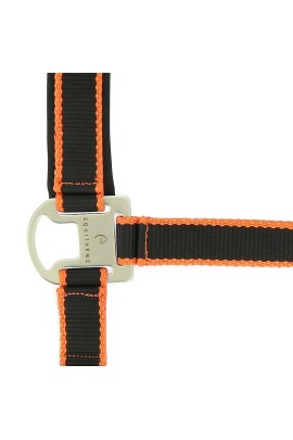 Equithème Halter Orange with Lead Rope | Comfort & Set | Shop Now Equithème Halter Orange with Lead Rope | Comfort & Set | Shop Now
