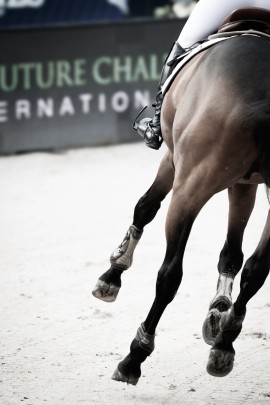 RYDE Equestrian Adjustable Stirrups Black | Order Now RYDE Equestrian Adjustable Stirrups Black | Order Now