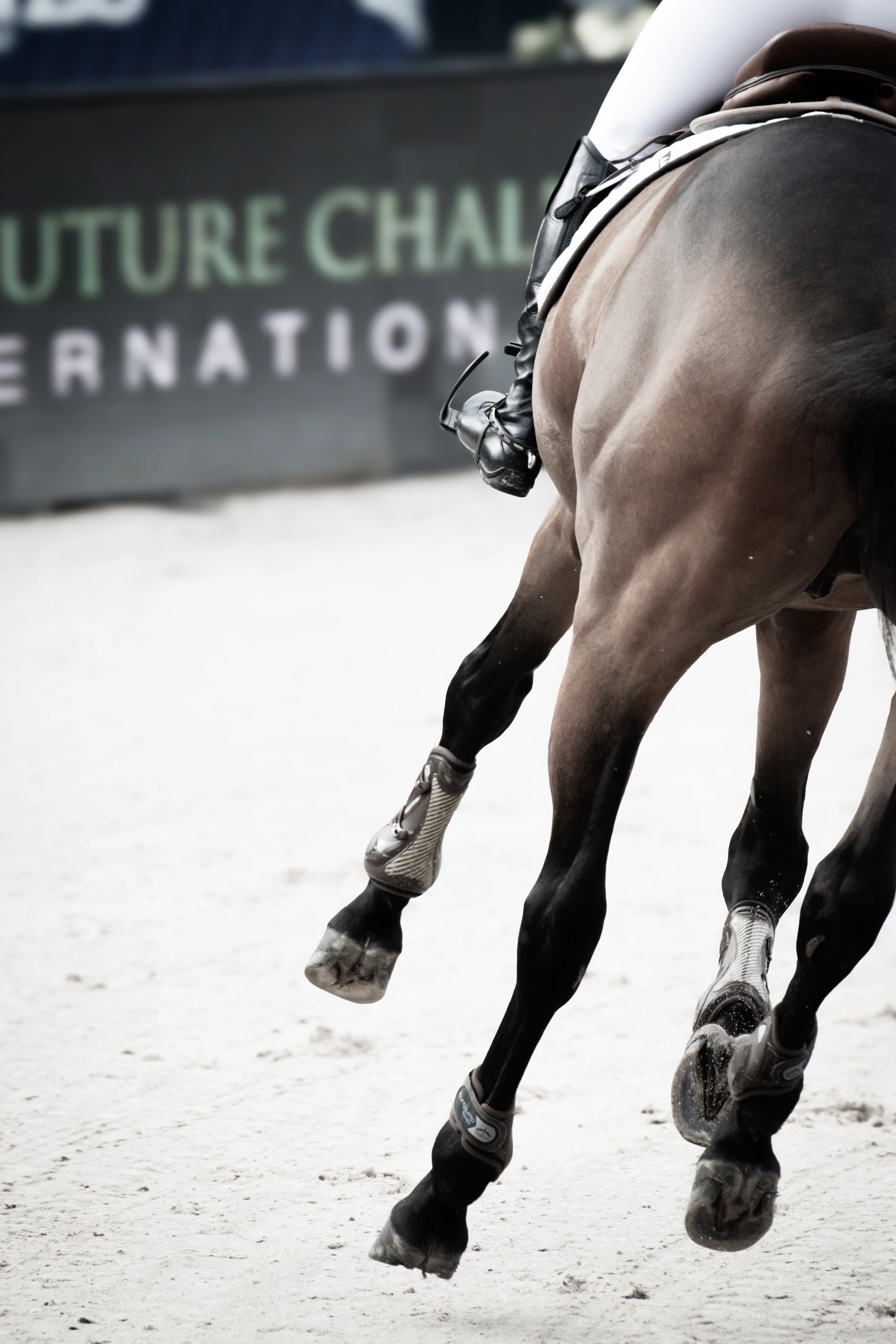 RYDE Equestrian Adjustable Stirrups Black | Order Now RYDE Equestrian Adjustable Stirrups Black | Order Now