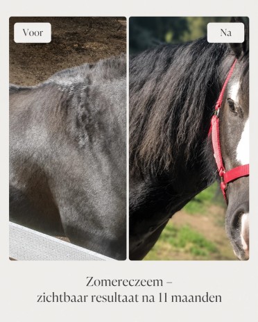 Derfen Original Lotion bij jeuk & zomereczeem paard Derfen Original Lotion bij jeuk & zomereczeem paard