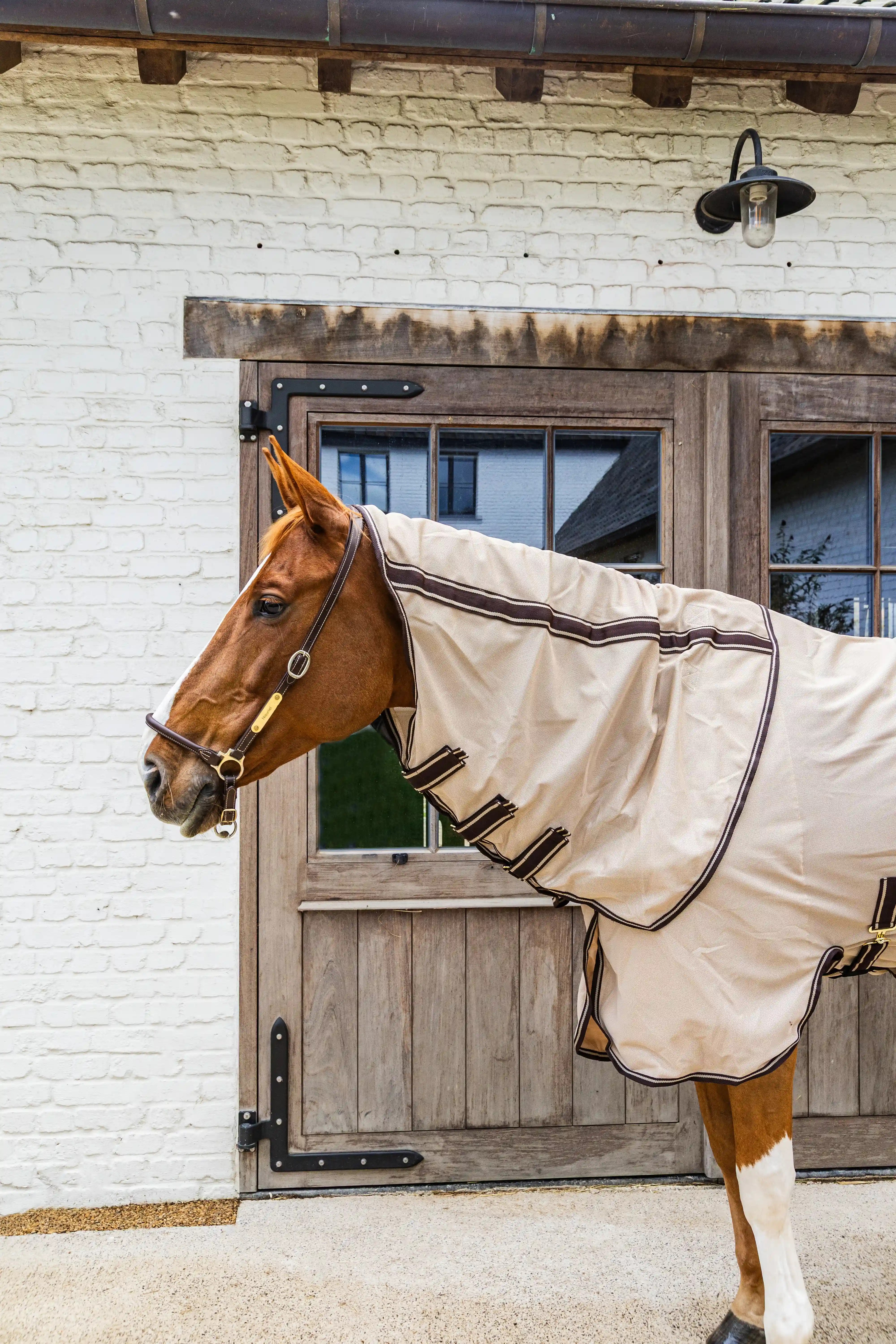 Kentucky Horsewear Mesh Comfort Fly Rug | Beige - Brown Kentucky Horsewear Mesh Comfort Fly Rug | Beige - Brown