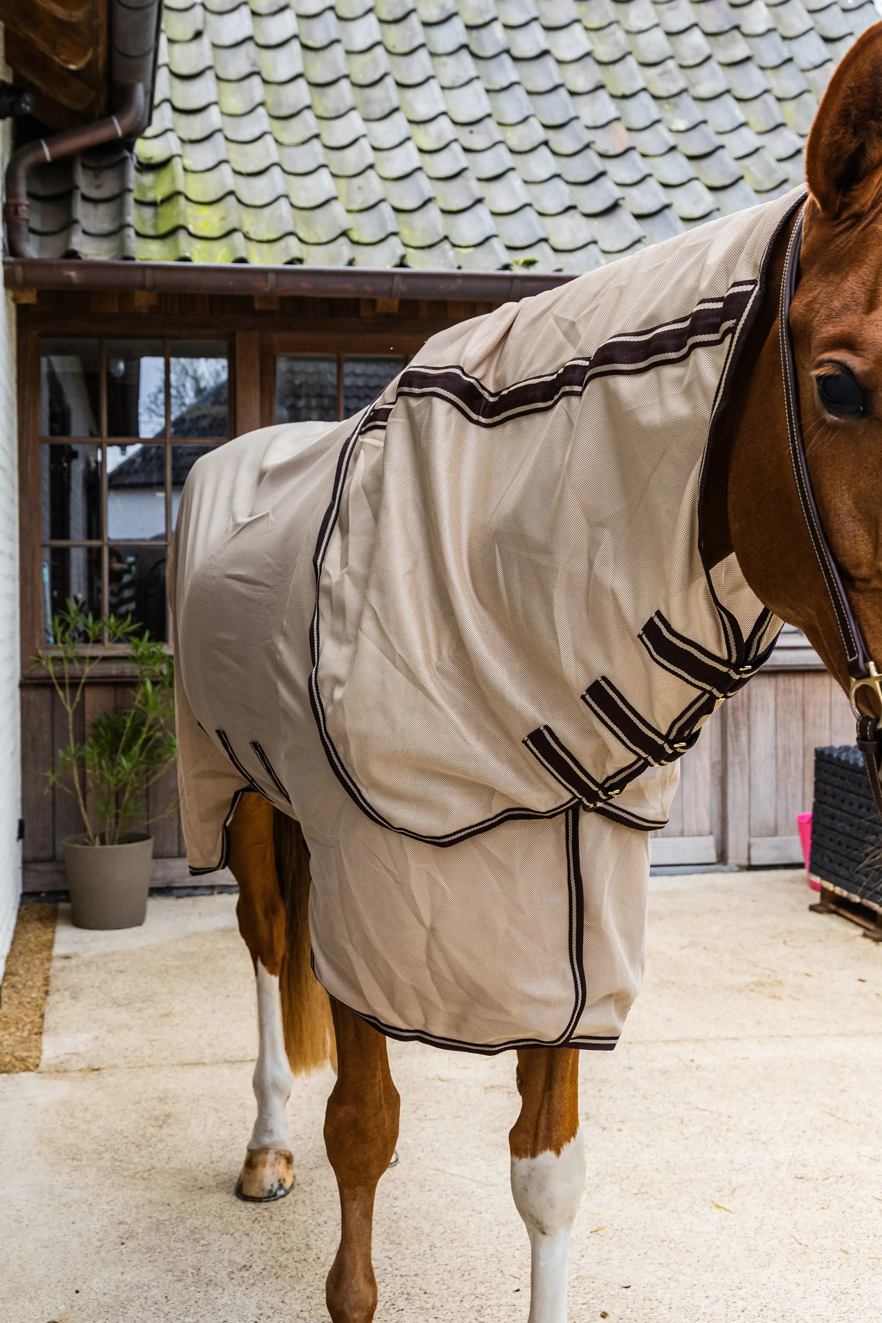 Kentucky Horsewear Mesh Comfort Vliegendeken | Beige - Bruin Kentucky Horsewear Mesh Comfort Vliegendeken | Beige - Bruin