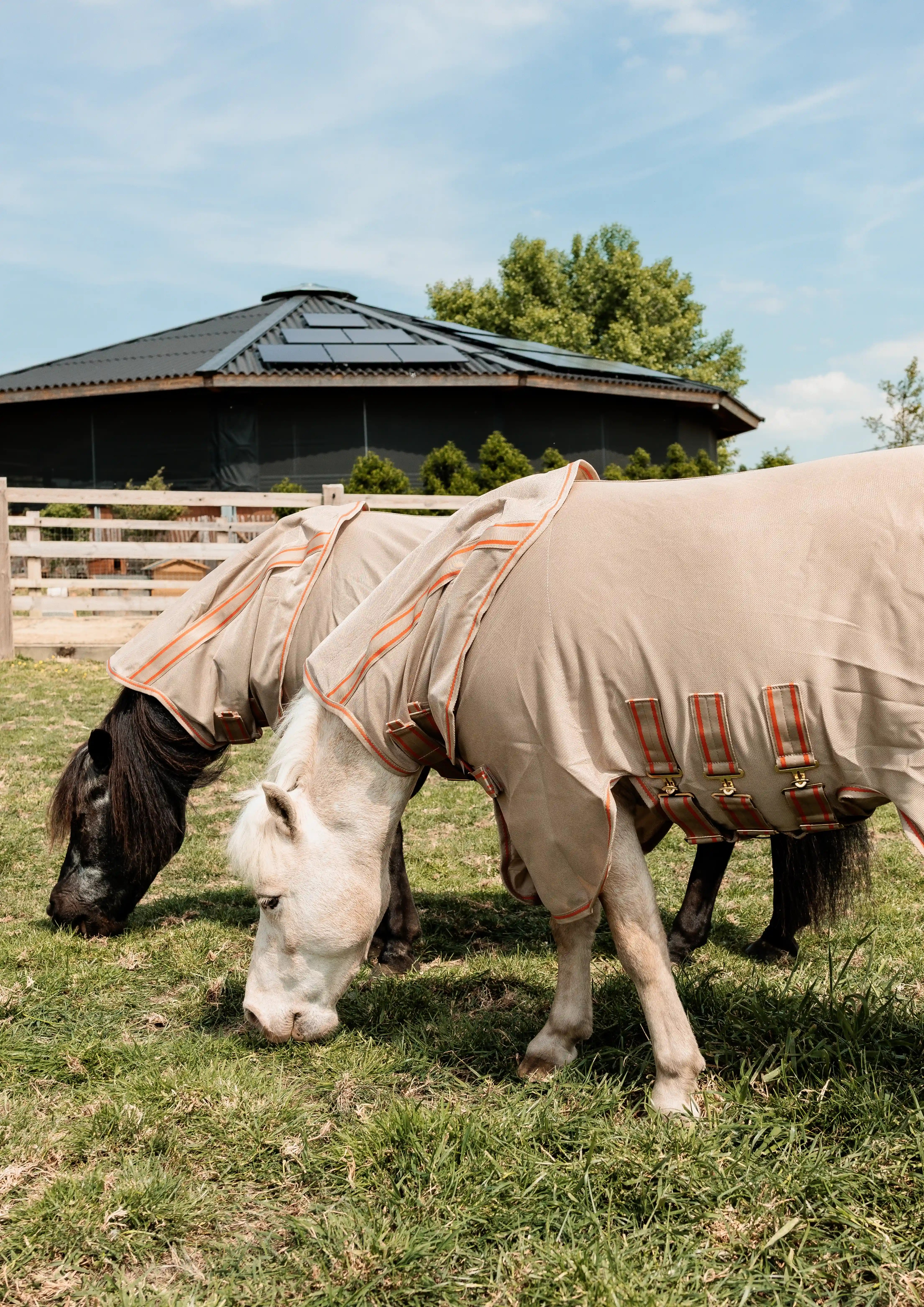 Kentucky Horsewear Mesh Comfort Fly Rug | Beige - Orange