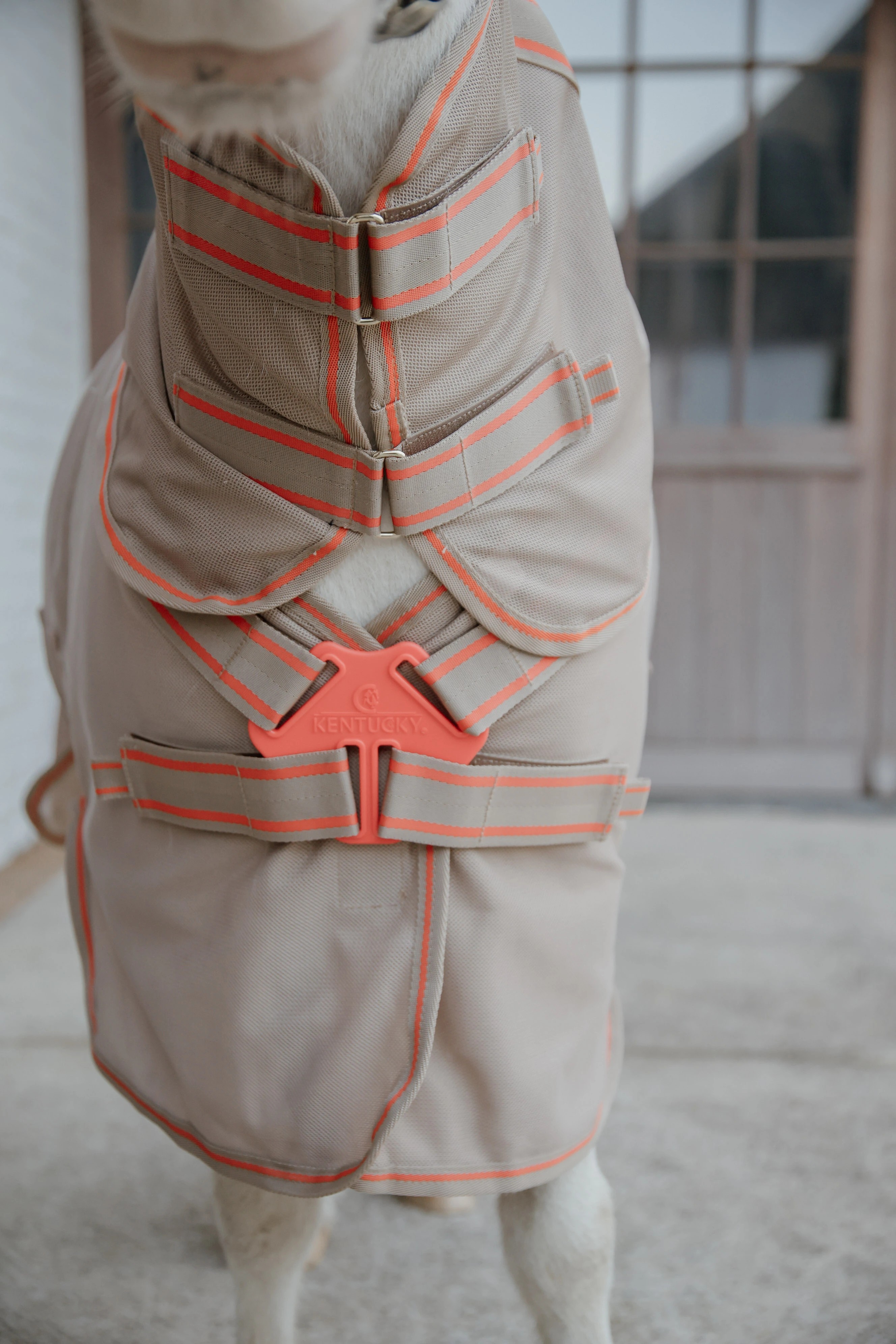Kentucky Horsewear Mesh Comfort Vliegendeken | Beige - Oranje Kentucky Horsewear Mesh Comfort Vliegendeken | Beige - Oranje