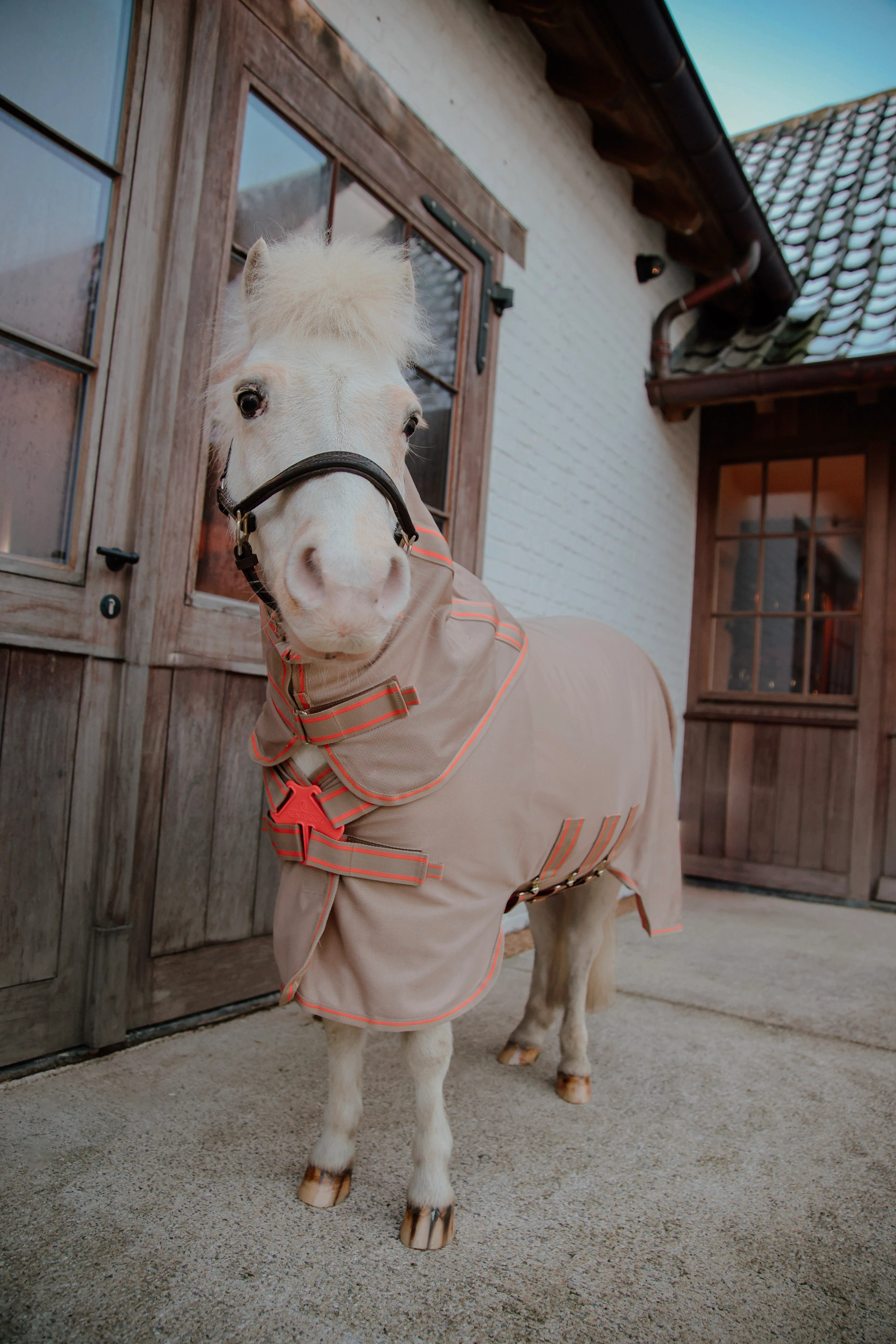Kentucky Horsewear Mesh Comfort Fly Rug | Beige - Orange