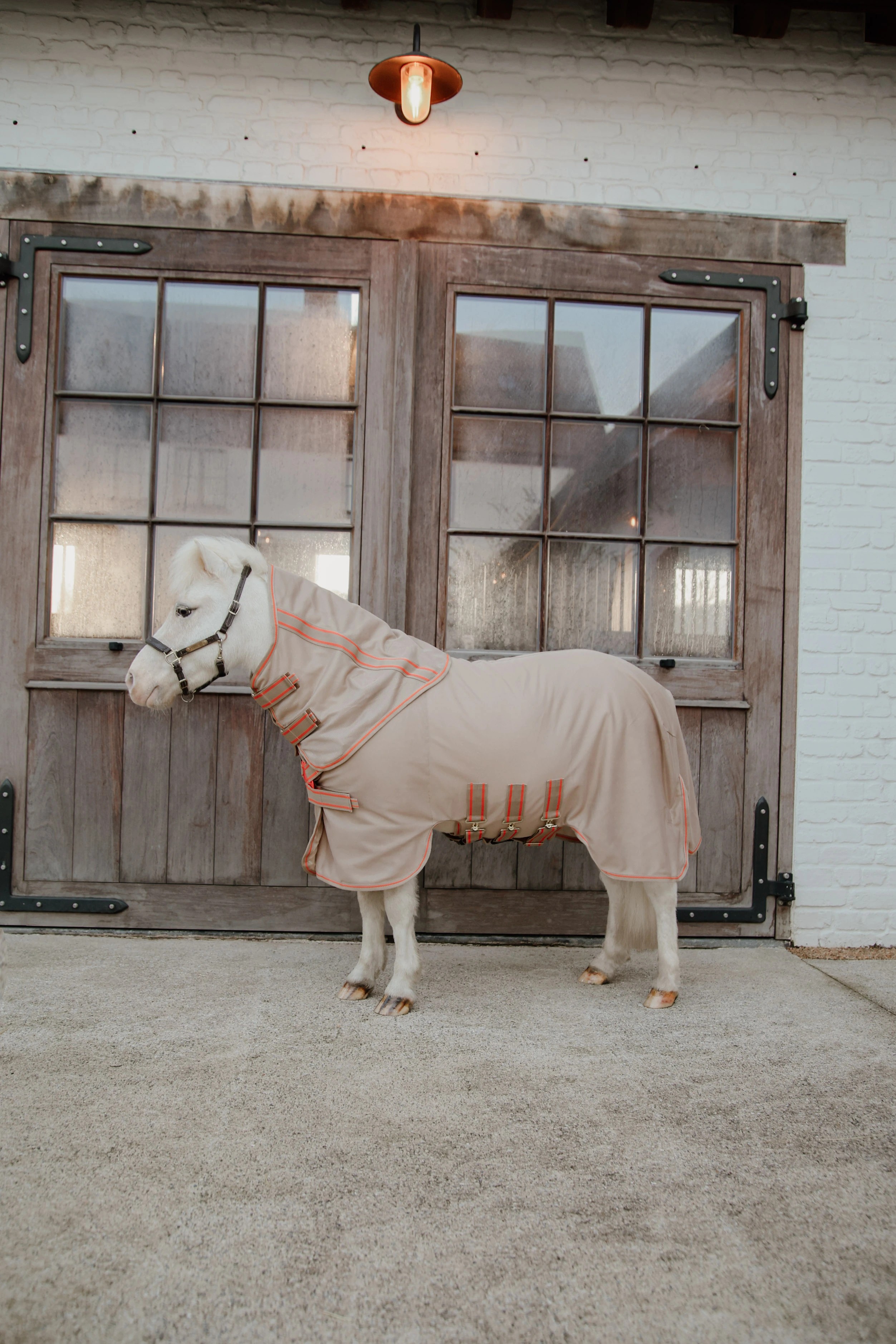 Kentucky Horsewear Mesh Comfort Fly Rug | Beige - Orange