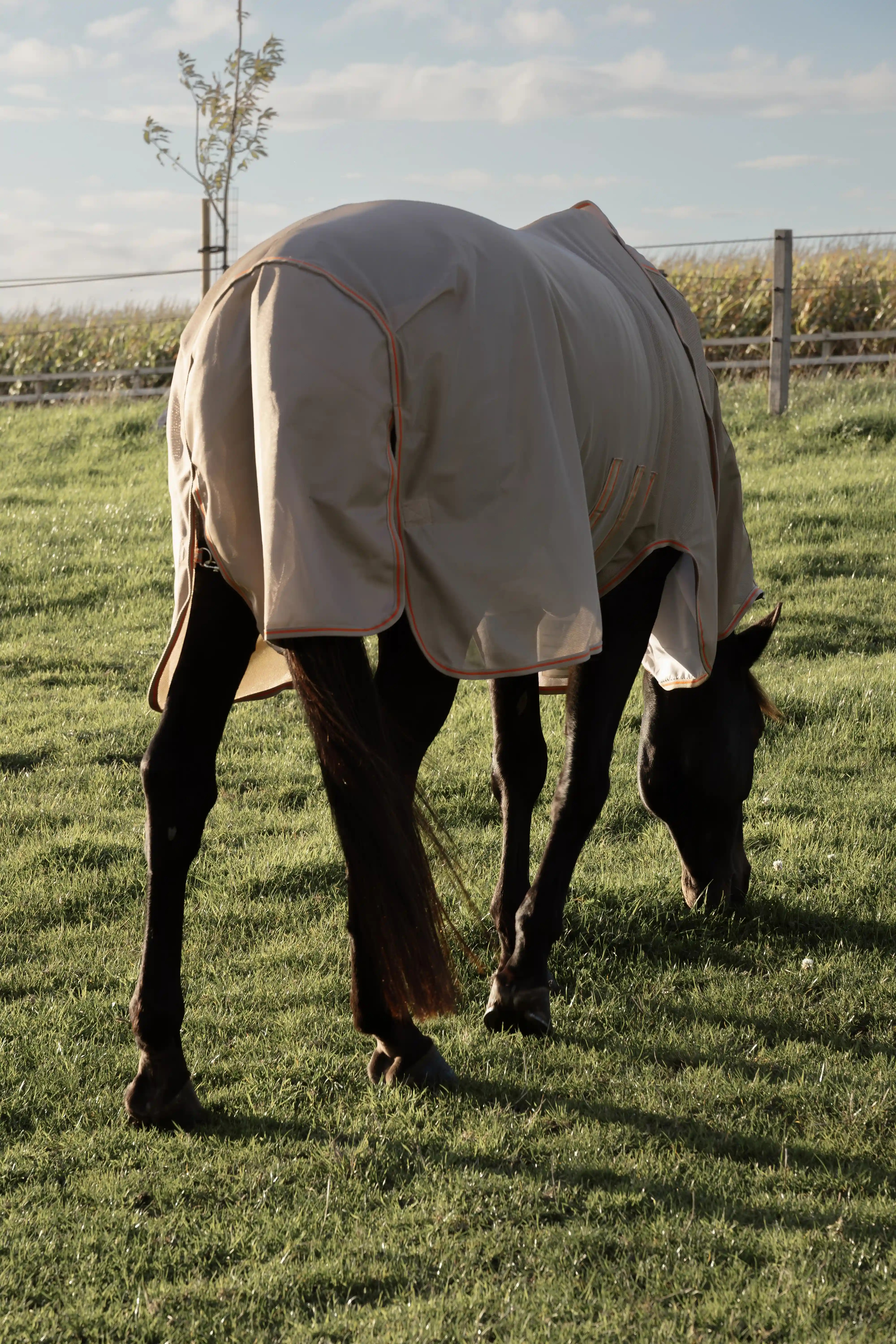 Kentucky Horsewear Mesh Comfort Fly Rug | Beige - Orange