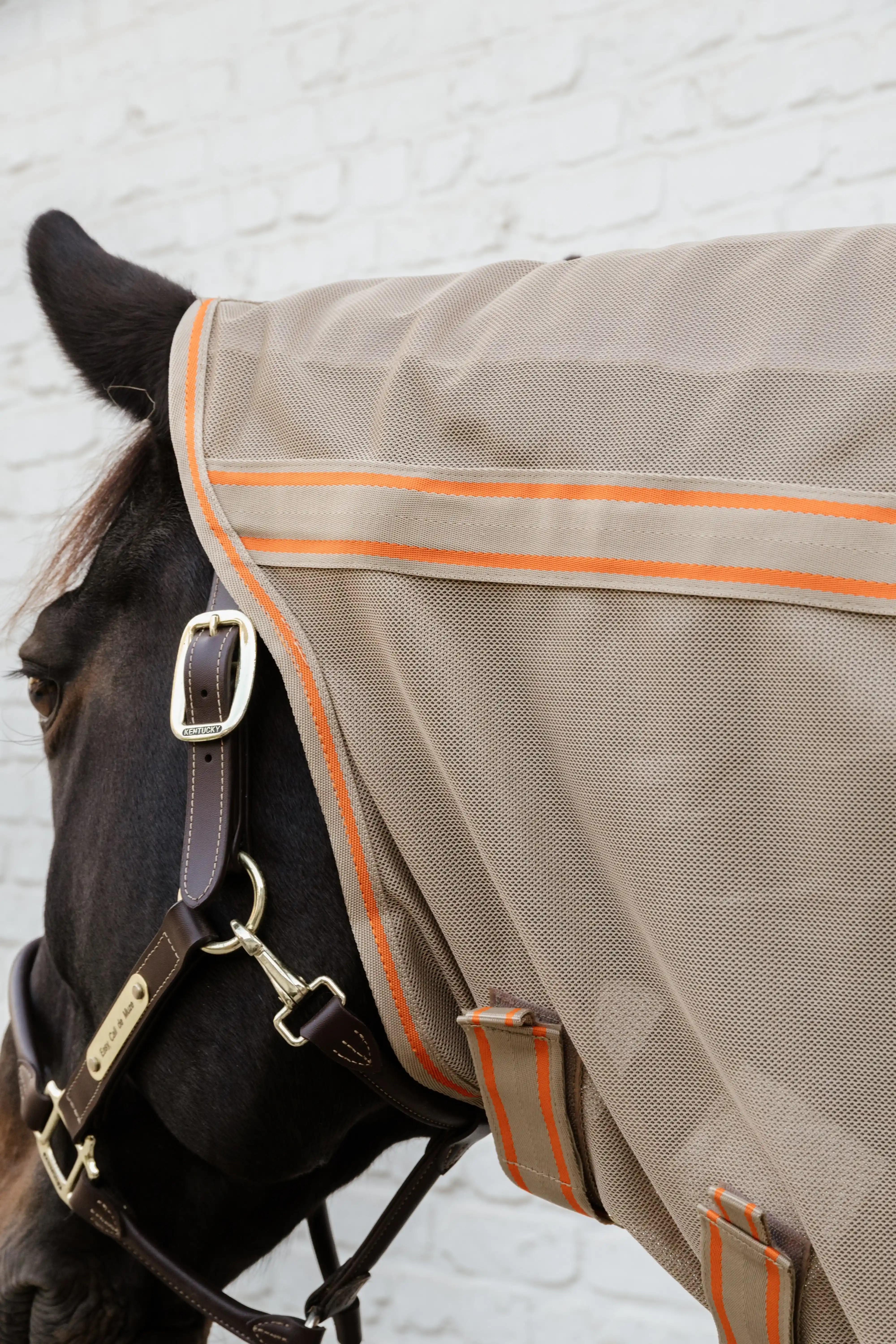 Kentucky Horsewear Mesh Comfort Vliegendeken | Beige - Oranje Kentucky Horsewear Mesh Comfort Vliegendeken | Beige - Oranje